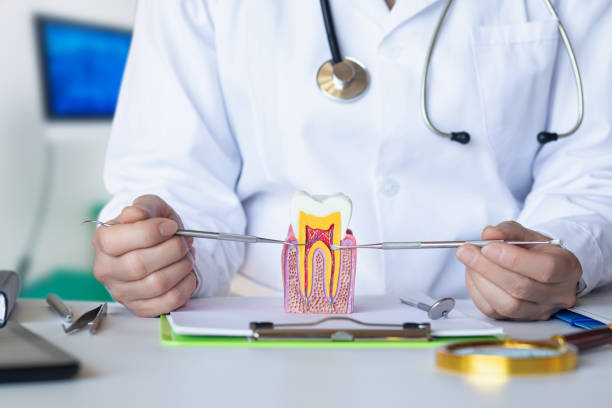 Best Knocked-Out Tooth Emergency  in East Washington, PA